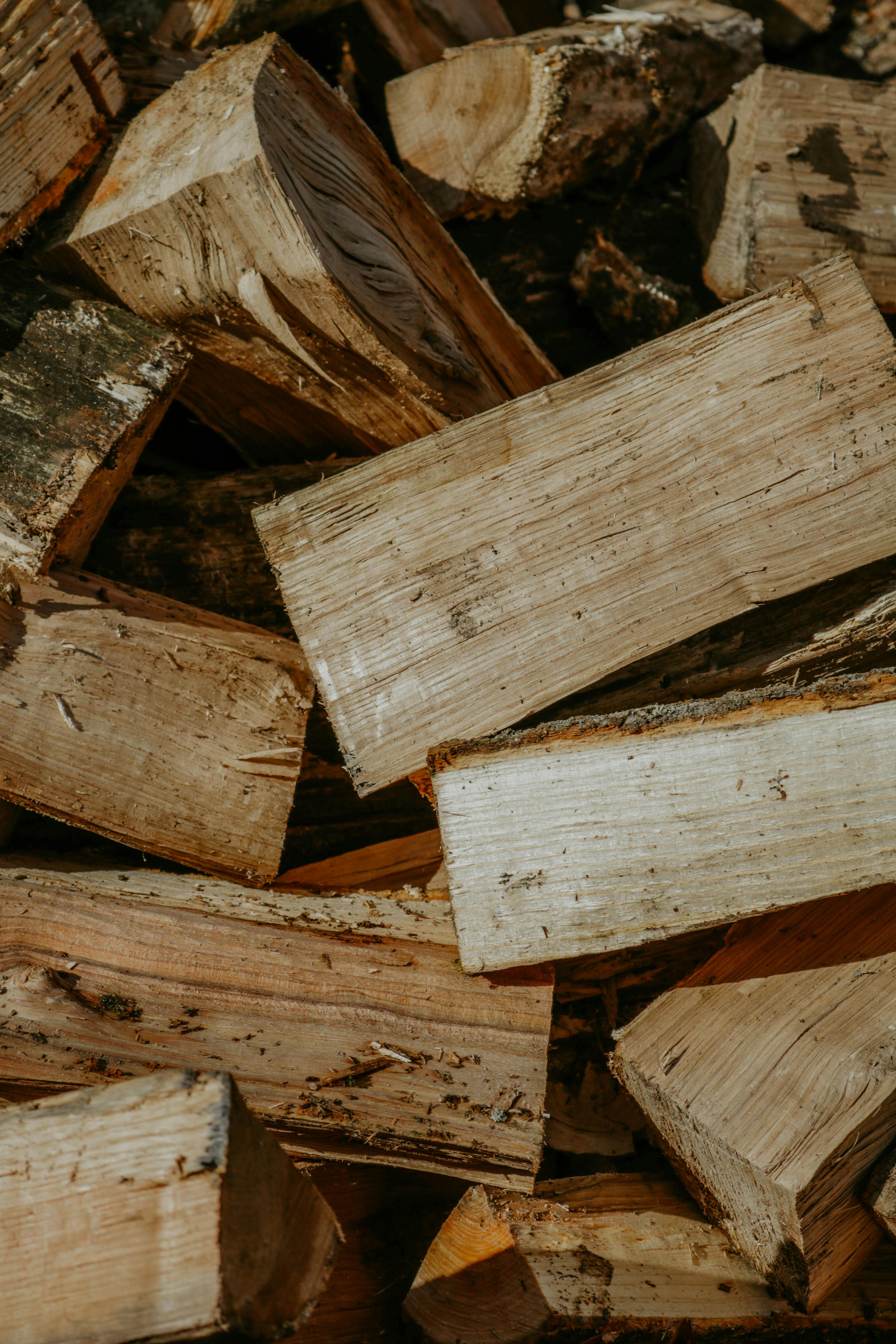 Softwood logs in bags